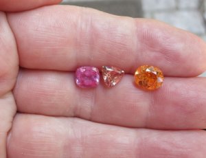 salmon_sapphire.jpg