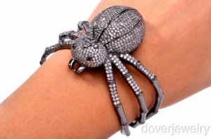 spider_1.jpg