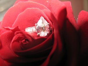 img_6698.jpg