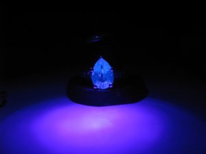 img_6671.jpg