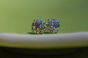 dsc_0229.jpg