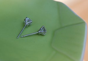 dsc_0236.jpg