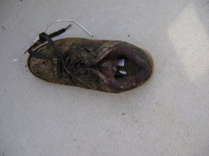 shoe_002.jpg