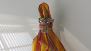 20130704_094306.jpg