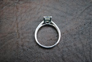 dsc_69.jpg