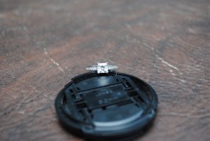 dsc_71.jpg
