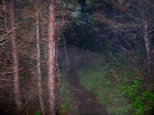 103_7281.jpg