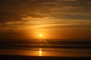 img_5250.jpg