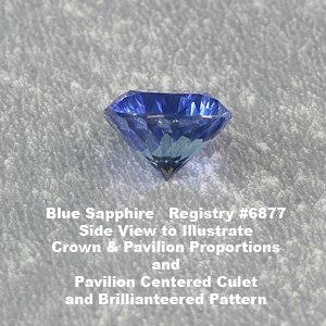 6877side_view.jpg
