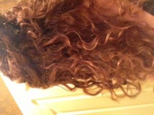 one_third_of_hair.jpg