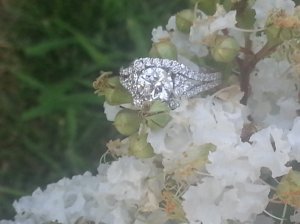 20130716_192354.jpg