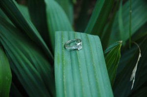dsc_0131.jpg