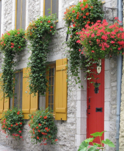 quebec_door_and_flower_boxes.png