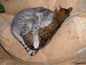 snuggly7.jpg