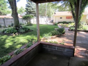 img_0778.jpg