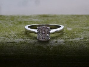 ringvirginiavacation026.jpg