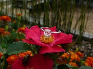 ringvirginiavacation052.jpg