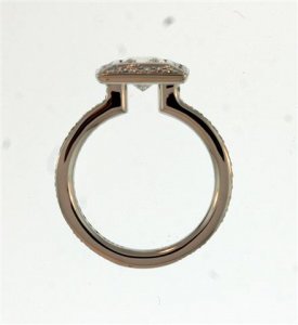 ritani_pic1 (Small).jpg