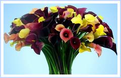 my bouquet.jpg my bouquet.jpg