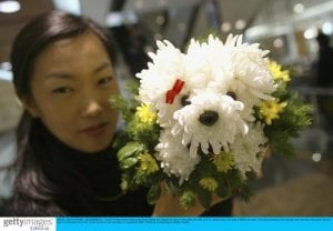 flowerdog2.jpg