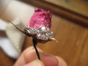 img_4499.jpg