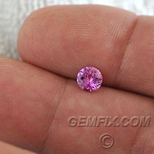 sapphire_pink_448_a.jpg