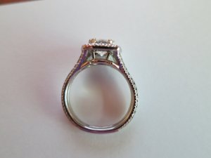 img_0903.jpg