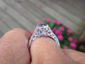 img_1520.jpg