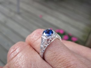 img_1523.jpg