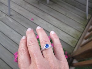 img_1524.jpg