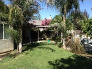 backyard2.jpg
