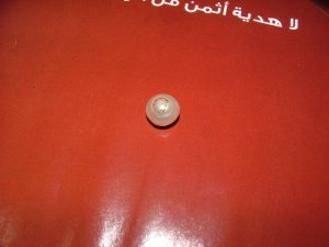 dscf2872.jpg