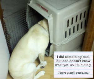 dog_shaming_20.jpg