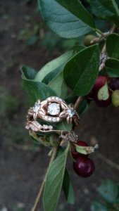 roseoutside4.jpg