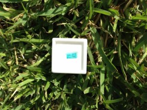 recut_tourmaline_outdoors_in_grass.jpg