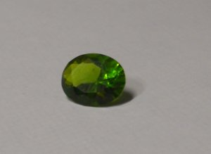dscn0730.jpg