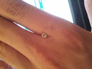 20130901_170159.jpg