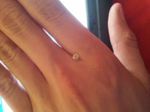 20130901_170334.jpg