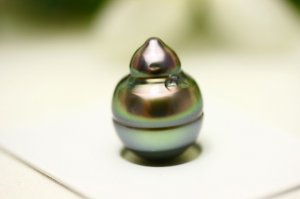 _9517.jpg