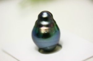 _9524.jpg