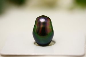 _9561.jpg