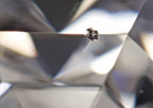 inclusion_close_up.png