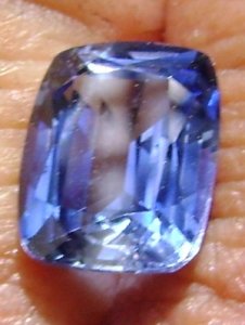 bluesap_003.jpg