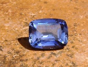 bluesap_023.jpg