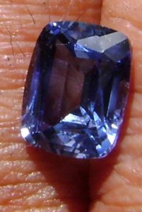 bluesap_027.jpg