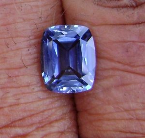 bluesap_031.jpg