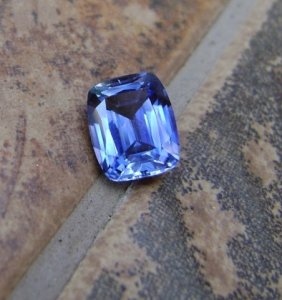 bluesap_014.jpg