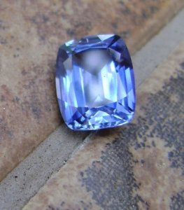 bluesap_019.jpg