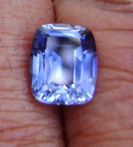bluesap_030__2_.jpg