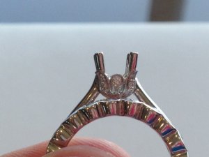 bezel_ring_profile.jpg